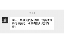 大理为什么选择专业追讨公司来处理您的债务纠纷？