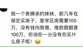 大理大理的要账公司在催收过程中的策略和技巧有哪些？